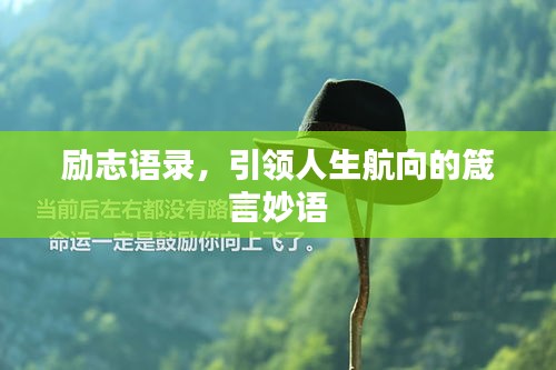 励志语录，引领人生航向的箴言妙语