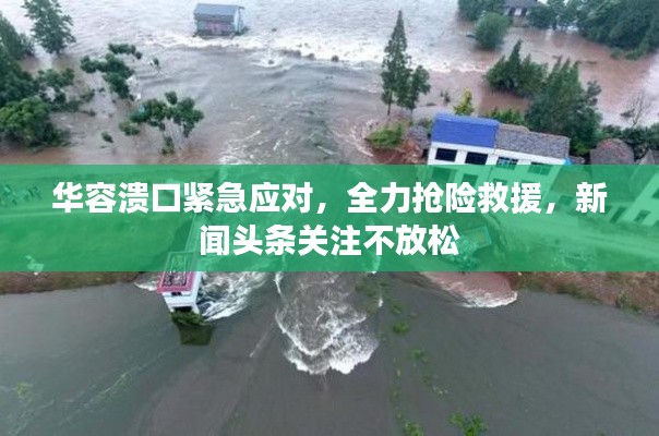 华容溃口紧急应对，全力抢险救援，新闻头条关注不放松