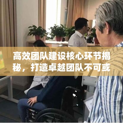 高效团队建设核心环节揭秘，打造卓越团队不可或缺的关键要素！