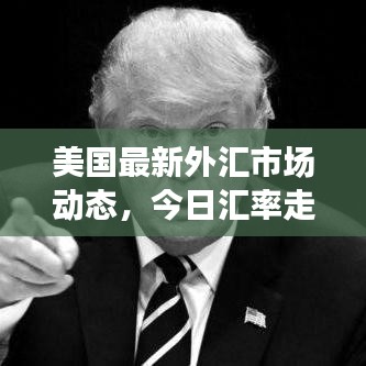 美国最新外汇市场动态，今日汇率走势及最新消息速递