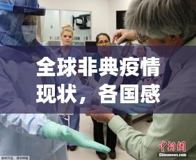 2025年6月2日 第5页