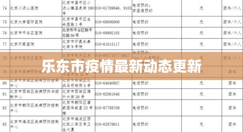 乐东市疫情最新动态更新