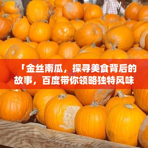 「金丝南瓜，探寻美食背后的故事，百度带你领略独特风味！」