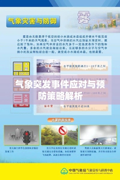 仙姿佚貌