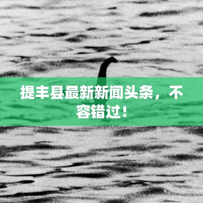 提丰县最新新闻头条，不容错过！