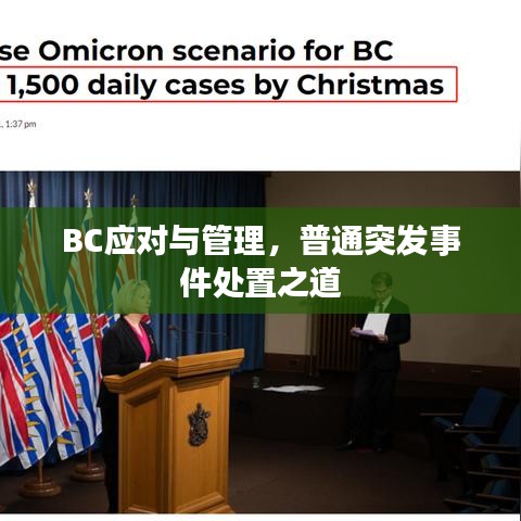 BC应对与管理，普通突发事件处置之道