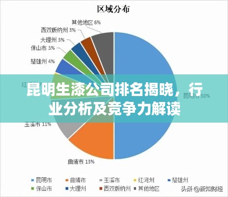 昆明生漆公司排名揭晓，行业分析及竞争力解读