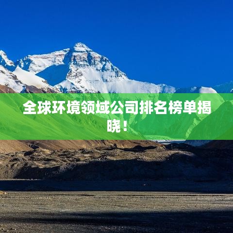 全球环境领域公司排名榜单揭晓！