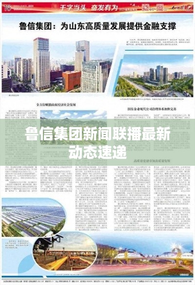 鲁信集团新闻联播最新动态速递