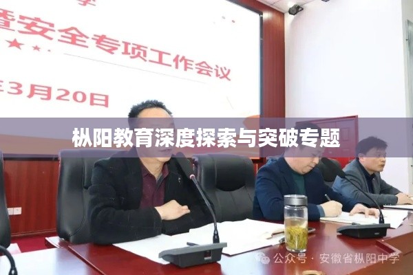 枞阳教育深度探索与突破专题