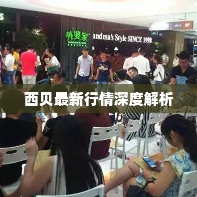 西贝最新行情深度解析