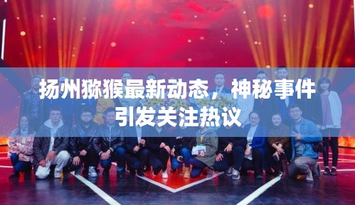 扬州猕猴最新动态，神秘事件引发关注热议