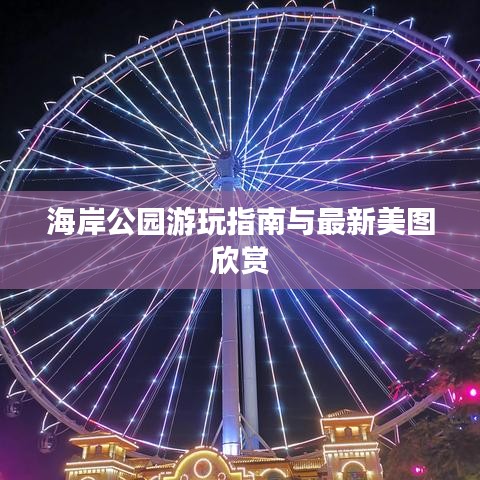 2025年6月5日 第3页