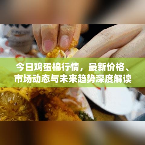 今日鸡蛋棉行情，最新价格、市场动态与未来趋势深度解读