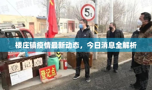 楼庄镇疫情最新动态，今日消息全解析