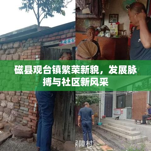 磁县观台镇繁荣新貌，发展脉搏与社区新风采