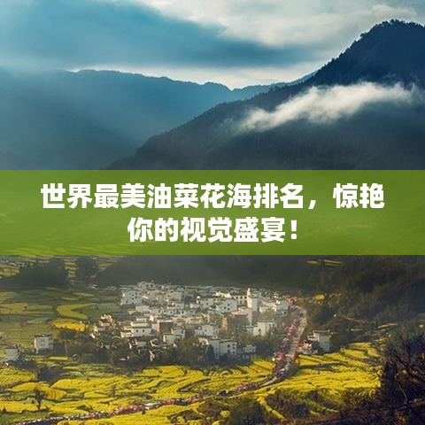 世界最美油菜花海排名，惊艳你的视觉盛宴！