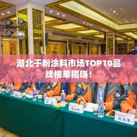 湖北干粉涂料市场TOP10品牌榜单揭晓！