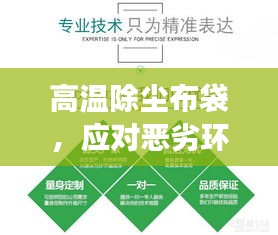 2025年6月6日 第2页