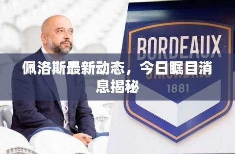 佩洛斯最新动态，今日瞩目消息揭秘