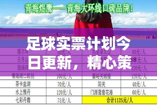 足球实票计划今日更新，精心策划引领胜利之路