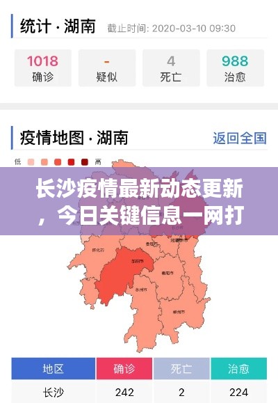 长沙疫情最新动态更新，今日关键信息一网打尽！