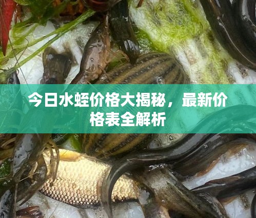 今日水蛭价格大揭秘，最新价格表全解析