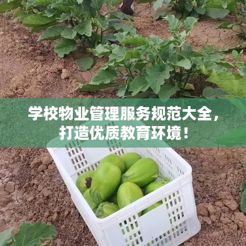 2025年6月9日 第5页