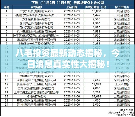 八毛投资最新动态揭秘，今日消息真实性大揭秘！