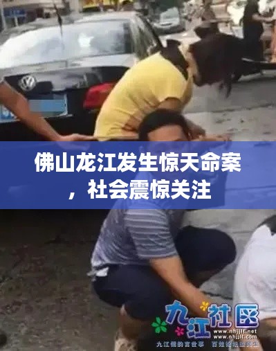 佛山龙江发生惊天命案，社会震惊关注