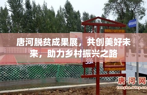 唐河脱贫成果展，共创美好未来，助力乡村振兴之路