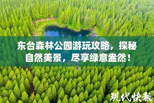 东台森林公园游玩攻略，探秘自然美景，尽享绿意盎然！