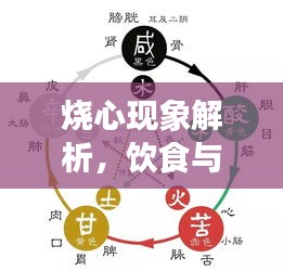 烧心现象解析，饮食与百度的微妙关联探讨