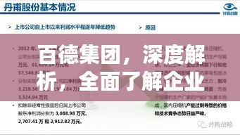 百德集团，深度解析，全面了解企业实力与业务范围！