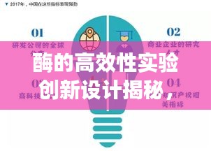 酶的高效性实验创新设计揭秘，探索未知领域的新篇章