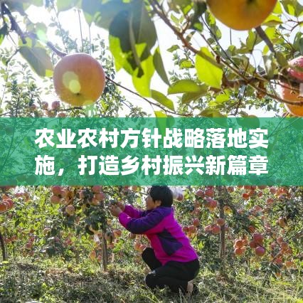 农业农村方针战略落地实施，打造乡村振兴新篇章