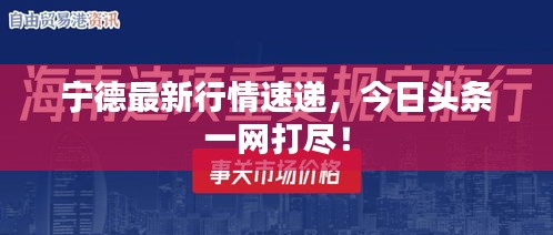 宁德最新行情速递，今日头条一网打尽！