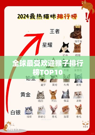 全球最受欢迎猴子排行榜TOP10