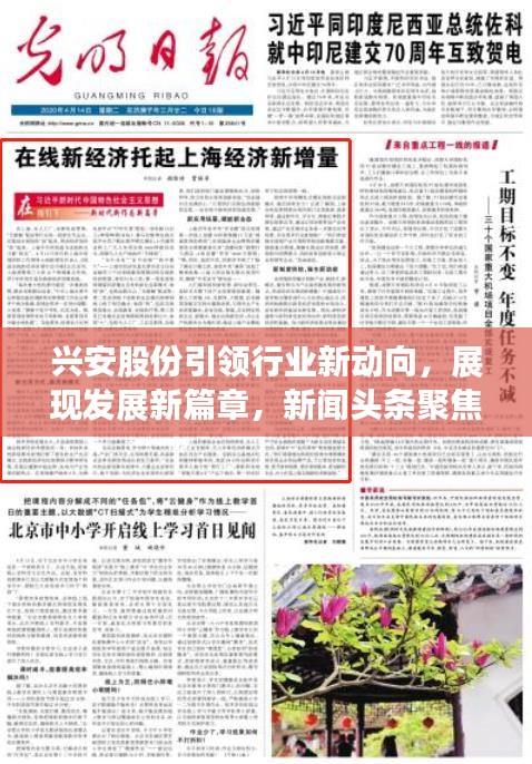 兴安股份引领行业新动向，展现发展新篇章，新闻头条聚焦！