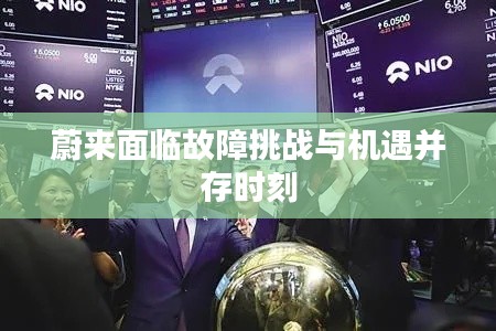 2025年6月12日 第3页