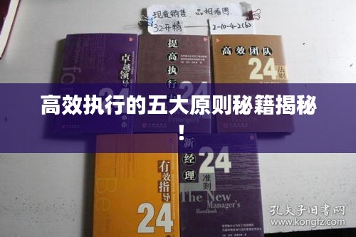高效执行的五大原则秘籍揭秘！