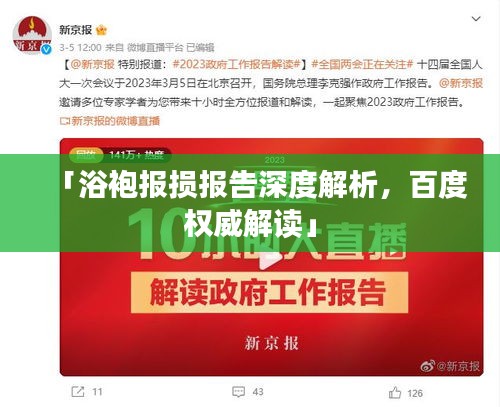 「浴袍报损报告深度解析，百度权威解读」