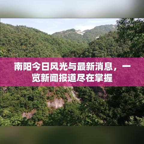 2025年6月13日 第4页