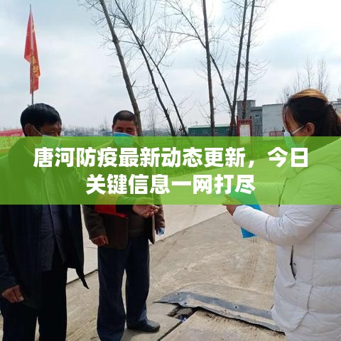 唐河防疫最新动态更新，今日关键信息一网打尽