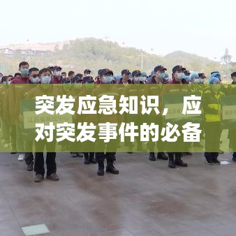 2025年6月14日