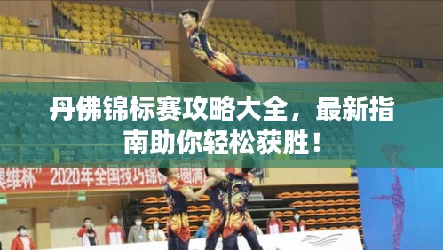 丹佛锦标赛攻略大全，最新指南助你轻松获胜！