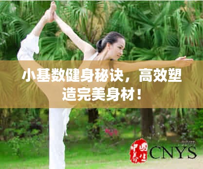 两袖清风