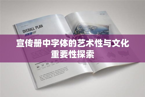 宣传册中字体的艺术性与文化重要性探索