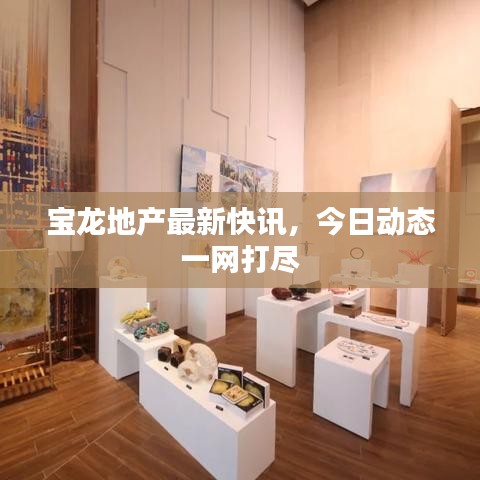 宝龙地产最新快讯，今日动态一网打尽
