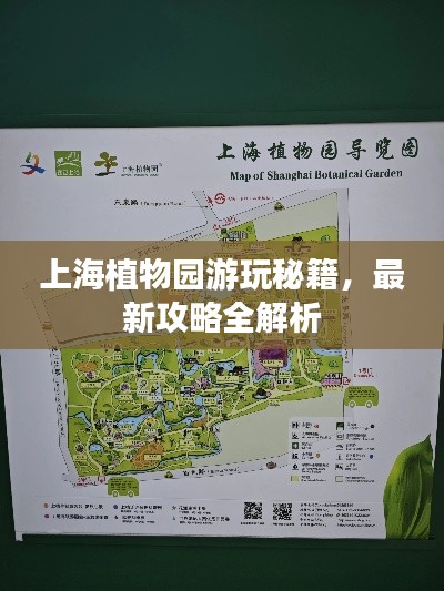 上海植物园游玩秘籍，最新攻略全解析